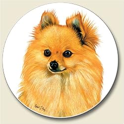 Pomeranian Coaster, Single Coaster for Your Car