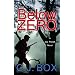 Below Zero (Platinum Mystery)