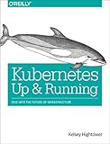 Kubernetes: Up and Running: Dive Into the Future of Infrastructure