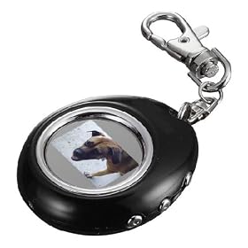 Pega 1.1 INCH COLOUR USB DIGITAL PHOTO FRAME KEYRING - Black