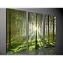 APPEALING NATURE - Tableau sur toile, de Tom Harri&hellip de United Arts Ltd.
