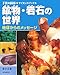 鉱物・岩石の世界―地球からのメッセージ (子供の科学・サイエンスブックス)