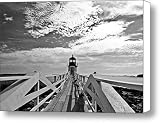 Marshall Law Canvas Print / Canvas Art - Artist Chad Tracy