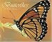 Book Butterflies 2008 Calendar