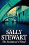 The Enchanter's Wand (Severn House Large Print)