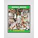 Photo File Boston Celtics 2008 NBA Finals Gold Limited Edition Composite Matted Photo