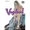 Vagabond, Vol. 29