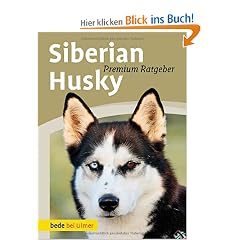 Siberian Husky