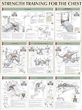 Chest Poster