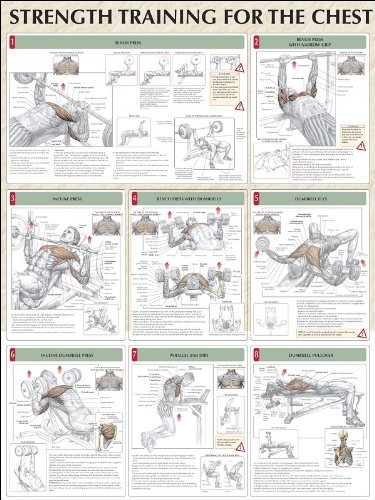 strength training for the chest poster