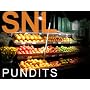 SNL: Pundits