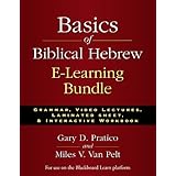 basics of biblical hebrew e learning bundle grammar video lectures laminated sheet and interactive workbook