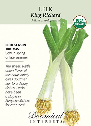 King Richard Leek Seeds - .75 grams - Certified Organic King Richard Leek Seeds - .75 grams - Certified Organic