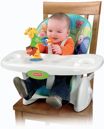 Huge save onfisher price chairs Fisher-Price Disney Baby Lion King Circle of Friends Spinner