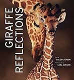 Giraffe reflections