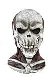 Skull Mask with Chest