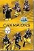 Pittsburgh Steelers (Super Bowl XLIII Champions: Ben Roethlisberger, Hines Ward, Willie Parker, James Ferrior, Troy Polamalu, James Harrison) Sport Poster Print - 24 X 36