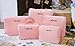Bill & Candy Bag in bag 5 pieces set travel packing cube in Pink