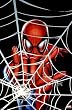 Spider-Man - Marvel Comics Poster (Spidey In Web) Poster Print, 22x34 Poster Print, 22x34