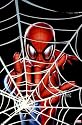 Spider-Man - Marvel Comics Poster (Spidey In Web) Poster Print, 22x34 Poster Print, 22x34 Poster Print, 22x34