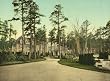 Georgian Court - Jay Gould Estate - Lakewood, New Jersey, ca. 1901 - Exceptional Print of a Vintage Photochrom Image from the Library of Congress Collection