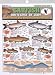 Freshwater Fish Chart-Catfish #13