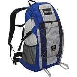 JanSport Whittaker Soloist