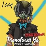 I Can Transform Ya - Chris Brown featuring Lil Wayne & Swizz Beatz