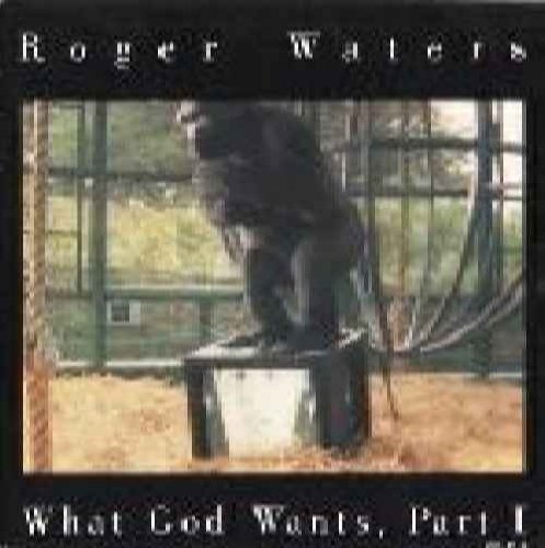Roger Waters Foto 4