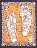 Reflexology - Artist: Robert Rosenthal - Art Print Poster Size: 11.75 by 15.75 inches