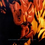 Strangely Isolated Plac [VINYL]