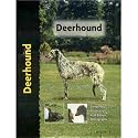 Deerhound Dog Breed Book