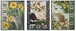 McKenna Ryan Pine Needles Morning Mews Set of 3 Cat Quilting Patterns