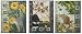 McKenna Ryan Pine Needles Morning Mews Set of 3 Cat Quilting Patterns