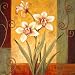 White Orchids Stretched Canvas Poster Print by Leanne Noble, 12x12