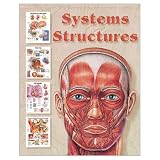 Systems &amp; Structures (The World's Best Anatomical Chart Series) (Paperback)