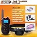 BEST Dog Training Collar with Remote