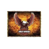 Harley-Davidson Motorcycles Eagle Throw Blanket