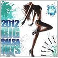 Big Salsa Hits 2012