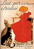 IMAGE OF GIRL MILK CAT LAIT PUR STERILISE FRENCH VINTAGE POSTER REPRO