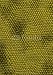 Wallmonkeys Peel and Stick Wall Decals - Snakes_texture_green - Removable Graphic