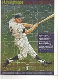 Harmon Killebrew 1991 Donruss Leaf Puzzle Set (63 Pieces) Diamond King HOF Minnesota Twins