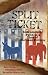 Split Ticket: Independent Faith in a Time of Partisan Politics (Wtf? Series (Where's the Faith))