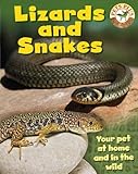 Lizards and snakes