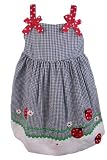Rare Editions Navy Blue Gingham Girls Lady Bug Dress