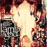 As the Palaces Burn [VINYL]