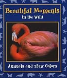 Beautiful Moments in the Wild: Animals and Their Colors (Moments in the Wild series)