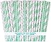 Outside the Box Papers Stripe, Dot and Lattice Paper Drinking Straws 7.75 Inches- 75 Pack Mint Green, White
