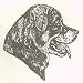 Dog Rubber Stamp - Rottweiler - 10E