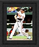 Framed Brian Roberts Baltimore Orioles 8x10 Photo